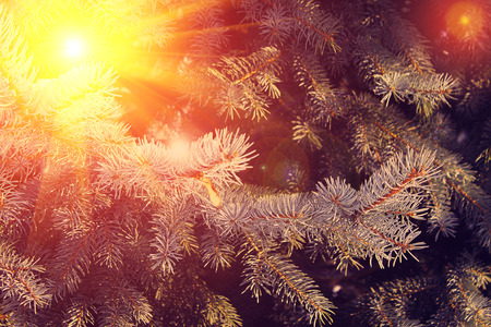 instagram effect of soft lightの写真素材