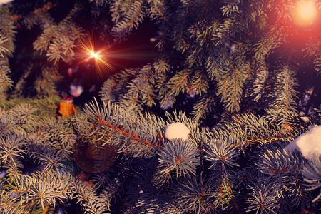  Winter photos, instagram effect of soft lightの写真素材