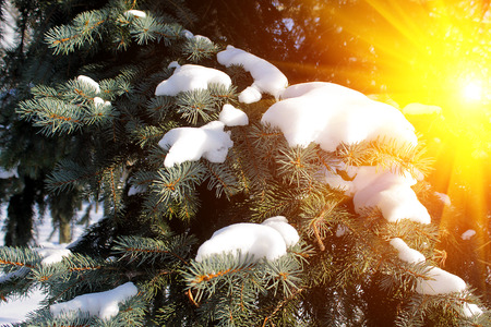 snowy winter sunset in the city, Europe, Belarusの写真素材