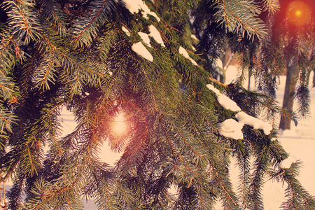  Winter photos, instagram effect of soft lightの写真素材