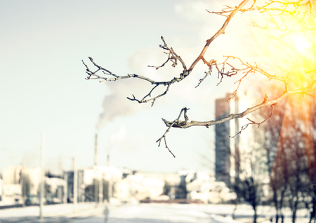 Winter photos, instagram effect of soft lightの写真素材