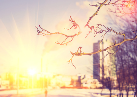Winter photos, instagram effect of soft lightの写真素材