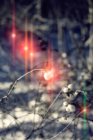 instagram effect of soft lightの写真素材