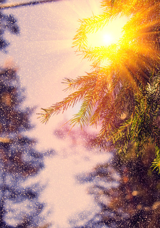 instagram effect of soft lightの写真素材