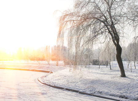 snowy winter sunset in the city, the backgroundの写真素材