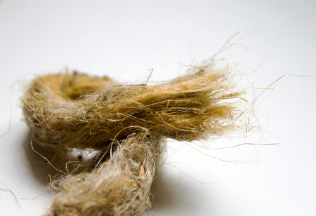 the linen rope isolated on a white backgroundの写真素材
