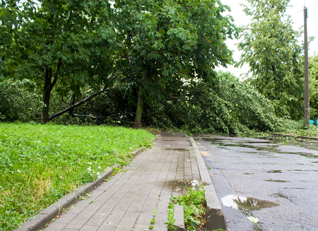 Tornado in the city of Minsk, Republic of Belarus, consequences of natural disaster of destruction of inhabited constructions more than 100 trees are also tumbled downの写真素材
