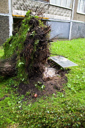 Tornado in the city of Minsk, Republic of Belarus, consequences of natural disaster of destruction of inhabited constructions more than 100 trees are also tumbled downの写真素材