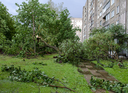 Tornado in the city of Minsk, Republic of Belarus, consequences of natural disaster of destruction of inhabited constructions more than 100 trees are also tumbled downの写真素材