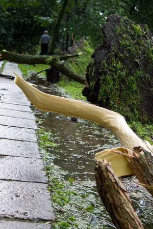 Tornado in the city of Minsk, Republic of Belarus, consequences of natural disaster of destruction of inhabited constructions more than 100 trees are also tumbled downの写真素材