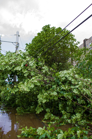Tornado in the city of Minsk, Republic of Belarus, consequences of natural disaster of destruction of inhabited constructions more than 100 trees are also tumbled downの写真素材