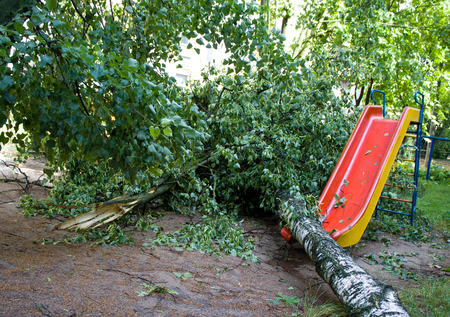 Tornado in the city of Minsk, Republic of Belarus, consequences of natural disaster of destruction of inhabited constructions more than 100 trees are also tumbled downの写真素材
