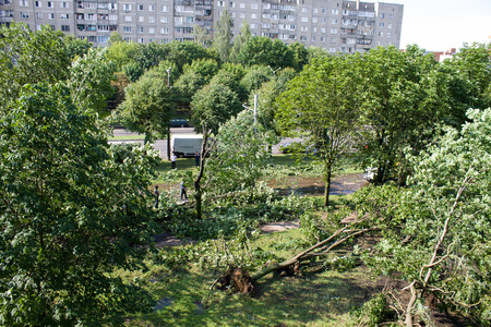 Tornado in the city of Minsk, Republic of Belarus, consequences of natural disaster of destruction of inhabited constructions more than 100 trees are also tumbled downの写真素材