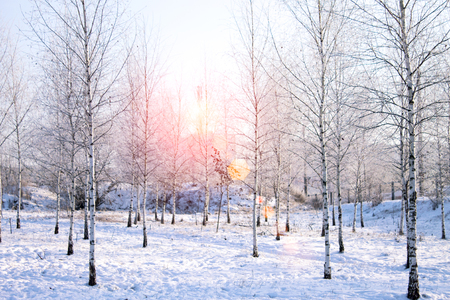snowy winter sunset in the city, the backgroundの写真素材
