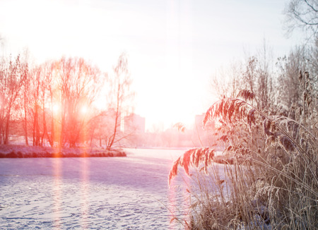 snowy winter sunset in the city, the backgroundの写真素材