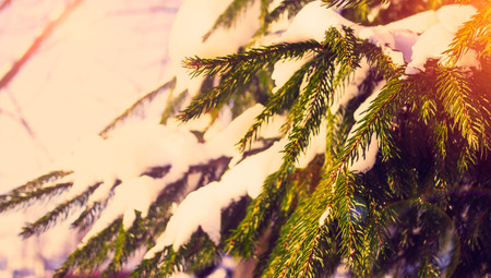 Sun Light  Nature Landscape  Background Holiday Travel Design Toned Effectの写真素材