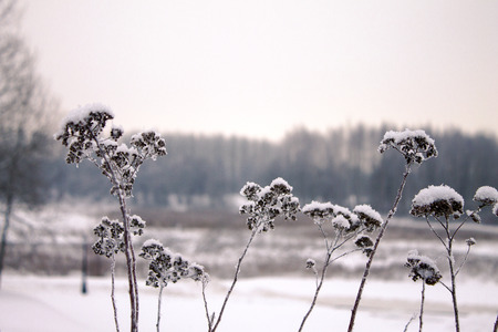 snowy winter sunset in the city, the backgroundの写真素材
