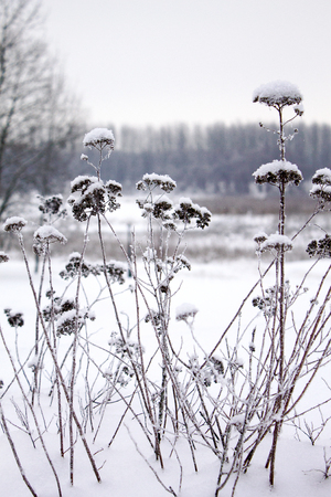 snowy winter sunset in the city, the backgroundの写真素材