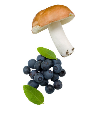 bilberry on a white background with a mushroom,isolatedの写真素材