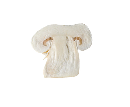 champignon mushrooms isolated on a white background, used in cooking for cookingの写真素材