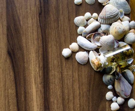 Background with sea cockleshells on a wooden substrateの写真素材