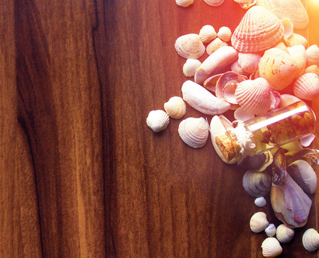 Background with sea cockleshells on a wooden substrate. Effect of a soft sunlightの写真素材
