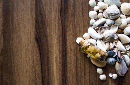 Background with sea cockleshells on a wooden substrateの写真素材