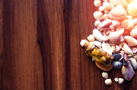 Background with sea cockleshells on a wooden substrate. Effect of a soft sunlightの写真素材