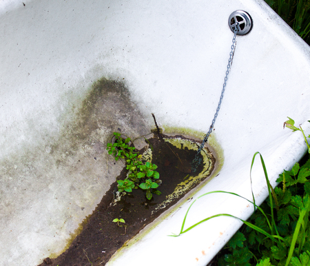 Old bath.Dirty old bath tub abandoned in a field and recycled as a drinking trough for cattle.の写真素材