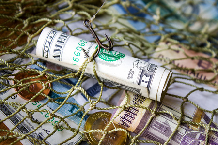 Belarusian money, dollar, fishing net. Without effort you won't catch fish from a pond.の写真素材