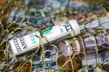 Belarusian money, dollar, fishing net. Without effort you won't catch fish from a pond.の写真素材