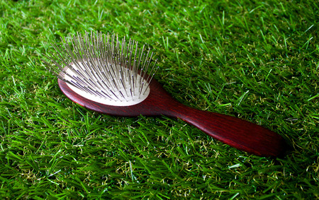 Acessories for the grooming of the dog,close upの写真素材