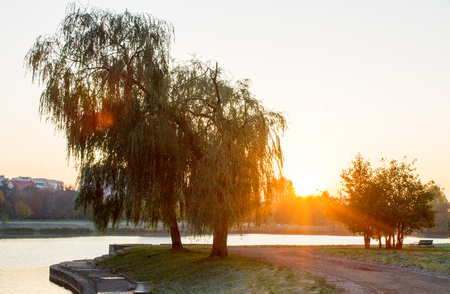Sunset in autumn park. Autumn landscape. backgroundの写真素材