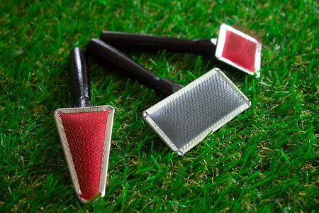 Acessories for the grooming of the dog,close upの写真素材