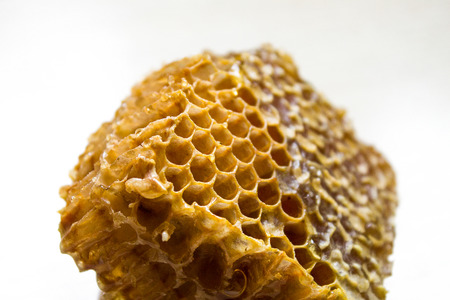 fresh honey in honeycombs close up, backgroundの写真素材
