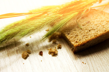 Fresh green wheat with a slice of bread on a wooden background