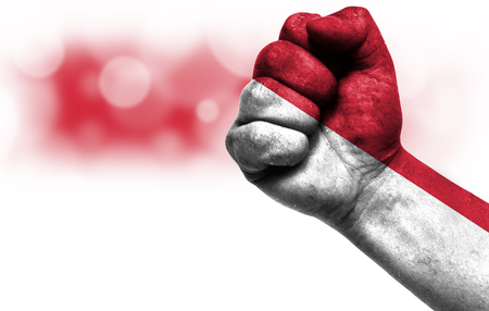 Flag of Indonesia painted on male fist, strength,power,concept of conflict. On a blurred background with a good place for your text.の写真素材