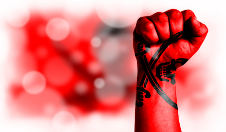 Flag of Pirates red painted on male fist, strength,power,concept of conflict. On a blurred background with a good place for your text.の写真素材