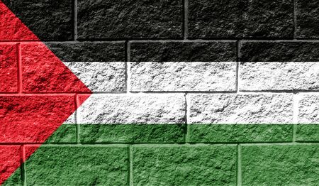 Flag of Palestine close up painted on a cracked wallの写真素材