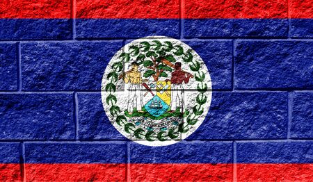 Flag of Belize close up painted on a cracked wallの写真素材