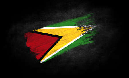 smear of paint in the form of the flag of Guyana close-up on a black backgroundの写真素材