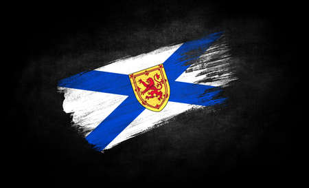 smear of paint in the form of the flag of Nova Scotia close-up on a black background