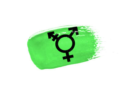 brush painted flag of Israeli Transgender isolated on white background.の写真素材