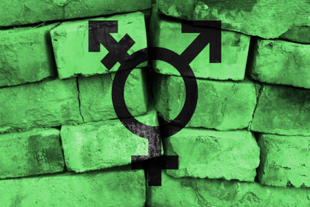 Israeli Transgender flag painted on brick wallの写真素材