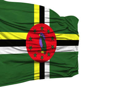 Dominica flag isolated on white backgroundの写真素材