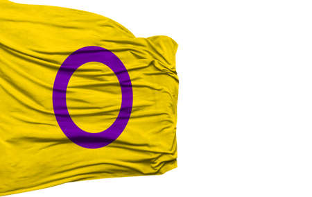 intersex pride flag isolated on white backgroundの写真素材