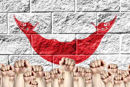Raised fists against the background of the depicted flag of Easter Island Rapa Nui on a brick wall,...