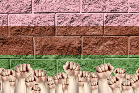 Raised fists against the background of the depicted flag of Gynosexual on a brick wall, a concept of strength and unity.の写真素材