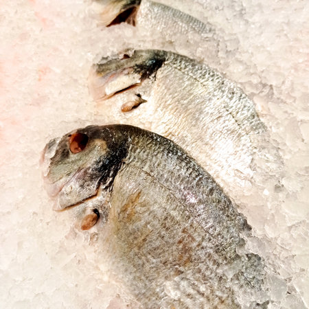 Fresh raw silver fish in pieces of ice close-up. Freshly caught fish laid on a market stall with crushed transparent ice. Chilled seafood on an ice-packed surface. Trevally fish.の写真素材