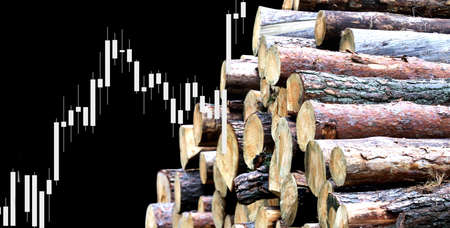 Fullframe background of a pile of felled tree trunks in a forest.
